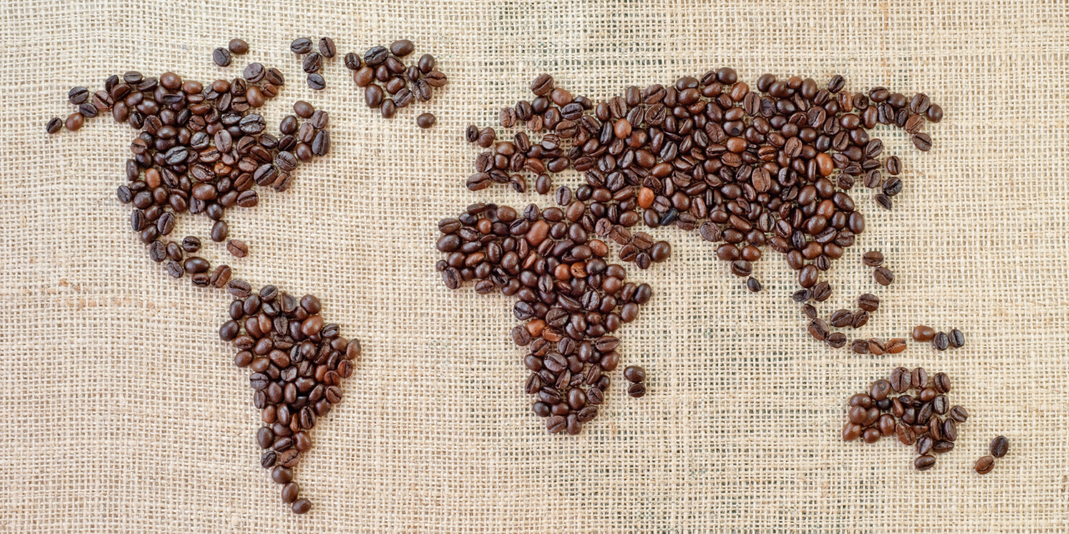 The Journey of Your Morning Brew