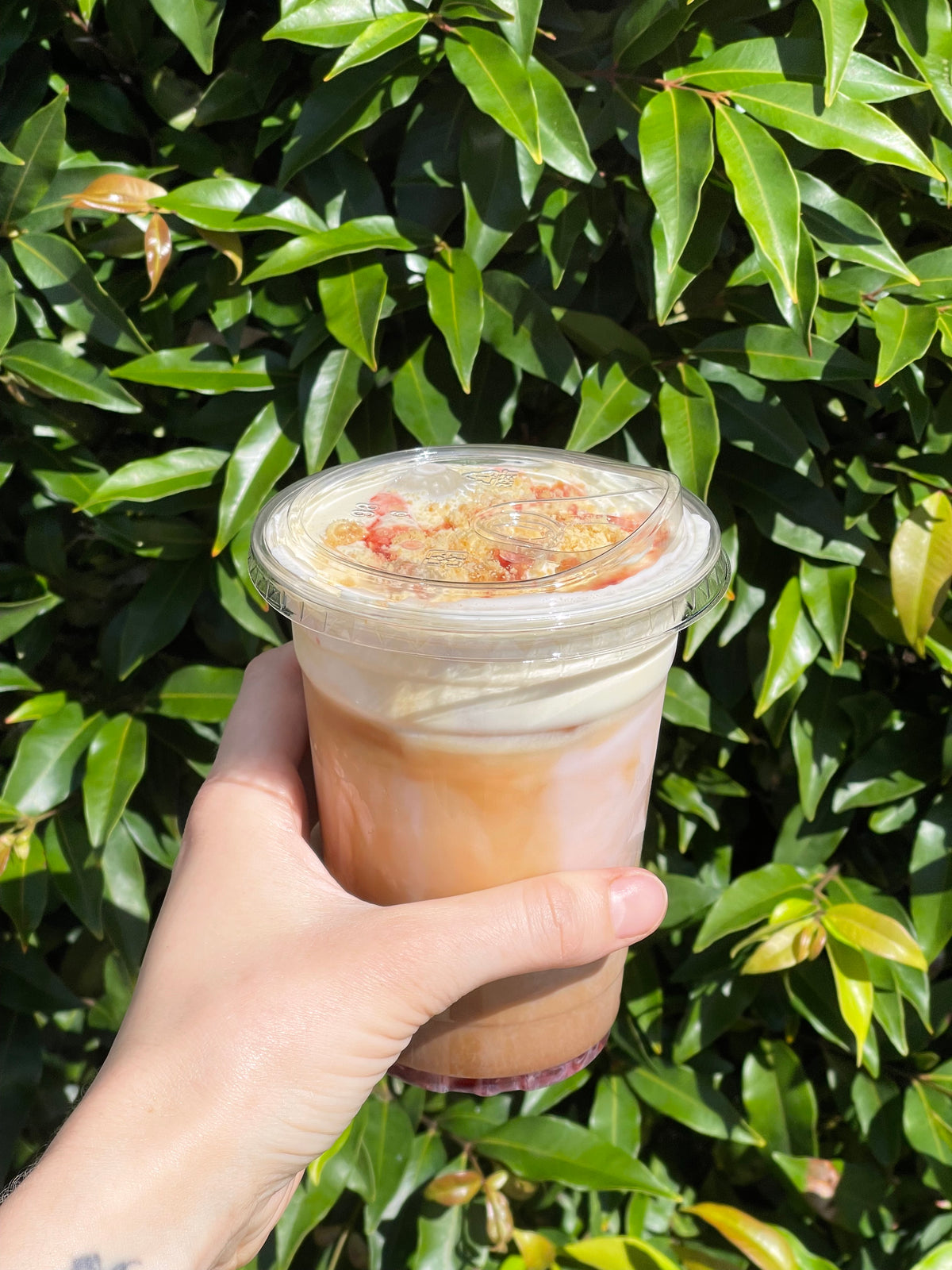 Seasonal cold foam special in a takeaway cup held up against green leaves